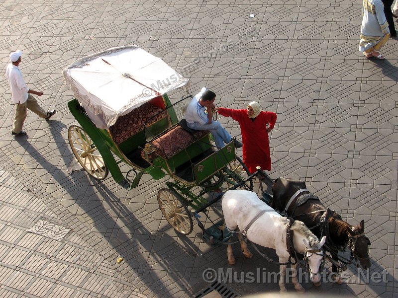 Jama el Fna - horse carriage